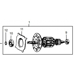 Dewalt 496248-00 Induit 230V