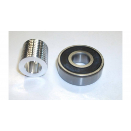 DeWalt Kit poulie et roulement à bille pour scie DW718, DW718XPS, DWS780 (N101475)