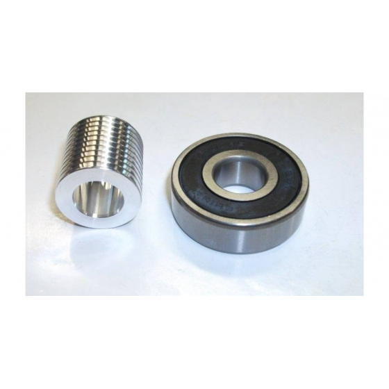 DeWalt Kit poulie et roulement à bille pour scie DW718, DW718XPS, DWS780 (N101475)