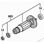 Bosch Induit scie sur table GTS 635-216 (1609B06558)