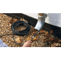 Bosch Débouche canalisations 10m de flexible pour nettoyeur haute-pression 130 Bars (F016800362)