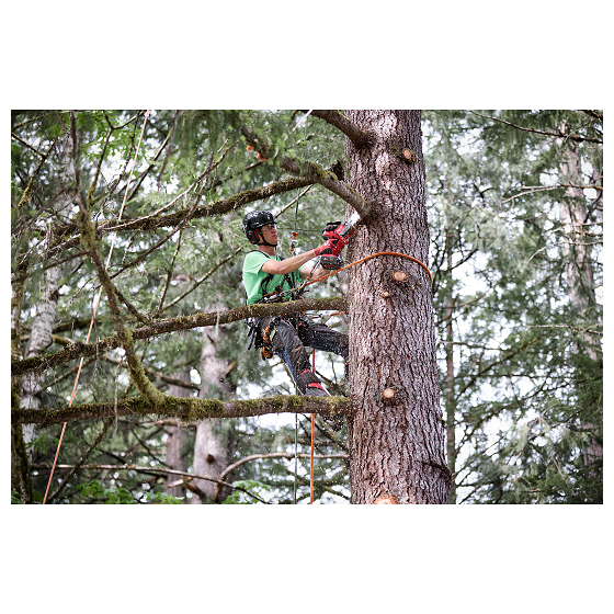 Milwaukee M18 FHS20-502C Tronçonneuse d'élagage HATCHET 18V Fuel machine seule () Milwaukee M18 FHS20-502C Tronçonneuse d'élagage HATCHET 18V Fuel machine seule ()