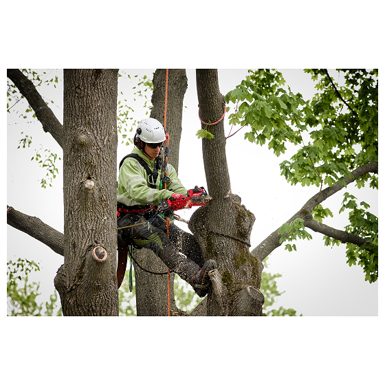 Milwaukee M18 FHS20-502C Tronçonneuse d'élagage HATCHET 18V Fuel machine seule ()