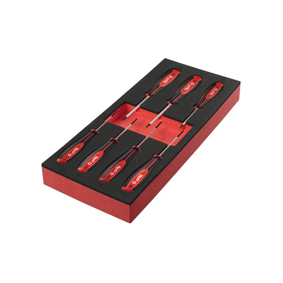 Milwaukee Jeu de x7 tournevis TORX avec module mousse pour servante d'atelier (4932492391)