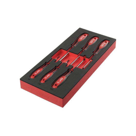 Milwaukee Jeu de x7 tournevis TORX avec module mousse pour servante d'atelier (4932492392)