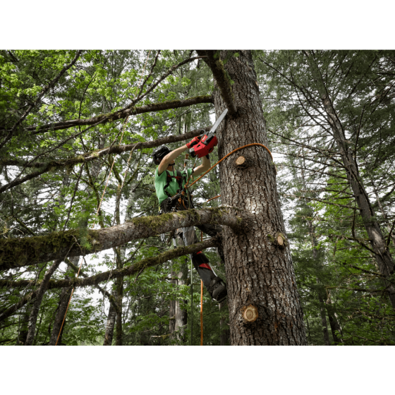 Milwaukee M18 FTHCHS30-0 Tronçonneuse d'élagage 18V Fuel 30cm (4933479586) Milwaukee M18 FTHCHS30-0 Tronçonneuse d'élagage 18V Fuel 30cm (4933479586)