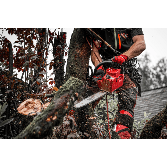 Milwaukee M18 FTHCHS35-0 Tronçonneuse d'élagage 18V Fuel 35cm (4933479588) Milwaukee M18 FTHCHS35-0 Tronçonneuse d'élagage 18V Fuel 35cm (4933479588)