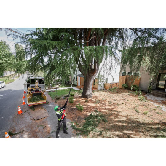 Milwaukee M18 FTPS30-0 Tronçonneuse d'élagage sur perche 18V Fuel 30cm (4933480868) Milwaukee M18 FTPS30-0 Tronçonneuse d'élagage sur perche 18V Fuel 30cm (4933480868)