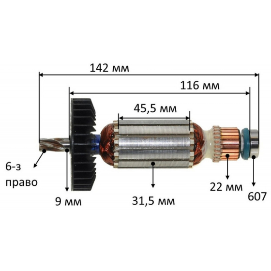 Makita Induit pour perforateur HR2410, HR2413, HR2420 (517403-6) Makita Induit pour perforateur HR2410, HR2413, HR2420 (517403-6)