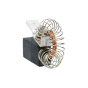 Dewalt 949736-01 Charbon autorupteur scie DW701, DW707