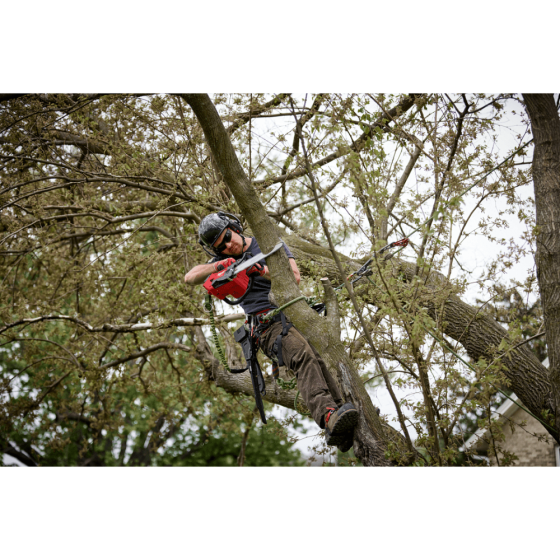 Milwaukee M18 FTHCHS35-802 Tronçonneuse d'élagage 18V Fuel 35cm avec batterie 2x8.0Ah FORGE (4933499222) Milwaukee M18 FTHCHS35-802 Tronçonneuse d'élagage 18V Fuel 35cm avec batterie 2x8.0Ah FORGE (4933499222)