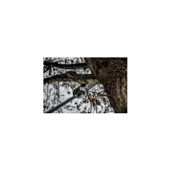 Milwaukee M18 FOPH-CSA Élagueuse Quick-Lok (4932464957)