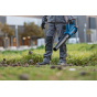 Bosch GBL 18V-750 Souffleur sans fil 18V BITURBO (06008D2000)