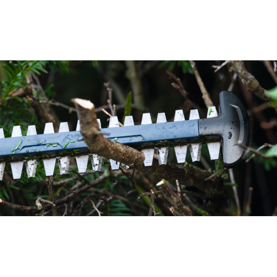 Bosch GHE 18V-60 (V2) Taille-haies sans fil 18V (06008C9400)