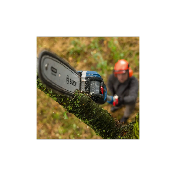 Bosch GKE 18V-25 TP Élagueuse sur perche sans fil 18V (06008D6000)