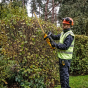 DeWalt DCMHT564N-XJ Taille-Haies 18V 55cm 25mm (Machine seule)