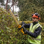 DeWalt DCMHT564N-XJ Taille-Haies 18V 55cm 25mm (Machine seule)
