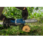 Bosch GKE 18V-25 TP Élagueuse sur perche sans fil 18V (06008D6000)
