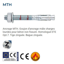 INDEX Goujon d'ancrage MTH Homologué Zingué ATE Option 7