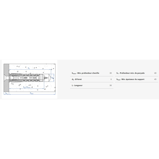 Index TN4S Lot de 1000 chevilles nylon ø6 6x30mm (TN4S06EP)