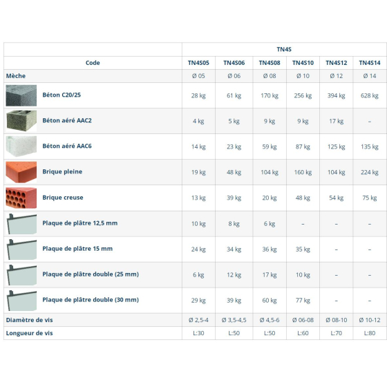 Index TN4S Lot de 100 chevilles nylon ø6 6x30mm (TN4S06)