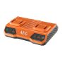AEG BL18C2 Chargeur double batterie 18V 2 Ports (4935480052)