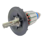 Dewalt Induit 230V pour perforateur D25481, D25810, D25811 (N491963)
