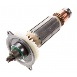 AEG 4931426260 Induit 230V
