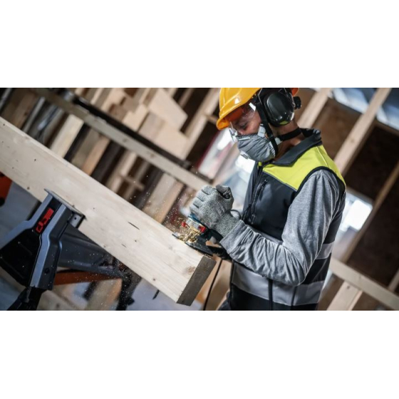 Bosch Lames de scie sauteuse 250mm pro wood precise T1044DP  (2608665237)