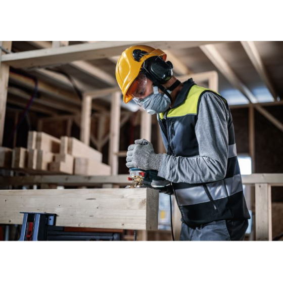 Bosch Lames de scie sauteuse 250mm pro wood precise T1044DP  (2608665237)