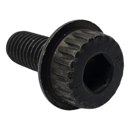 Dewalt Vis de Lame M8x19mm (Pas à Gauche) (N600011)