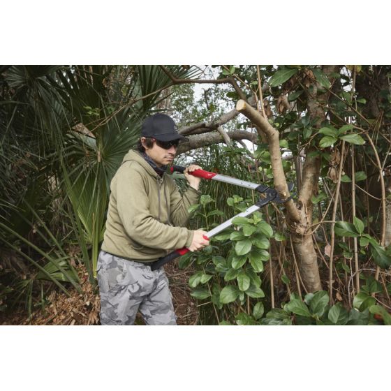 Milwaukee Ébrancheur 50mm (4932498625)