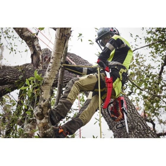 Milwaukee Scie d'élagage (4932498623)