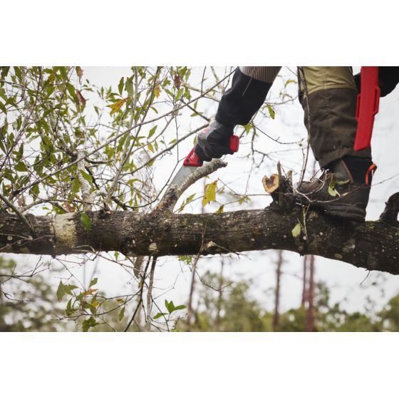 Milwaukee Scie d'élagage (4932498623)