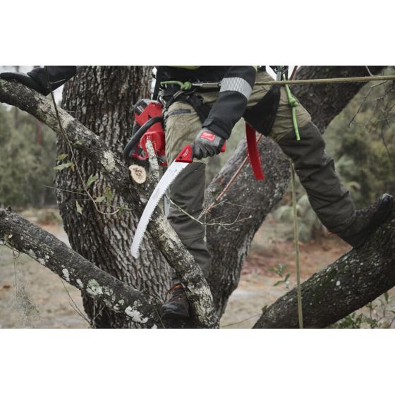 Milwaukee Scie d'élagage (4932498623)