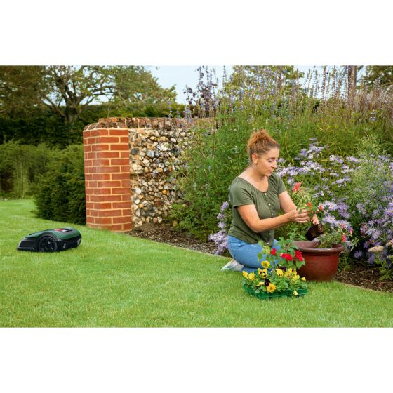 Bosch Robot tondeuse Indego XS 300 (06008B0003)