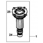 Dewalt 584430-00 Induit Perforateur D25303, D25304